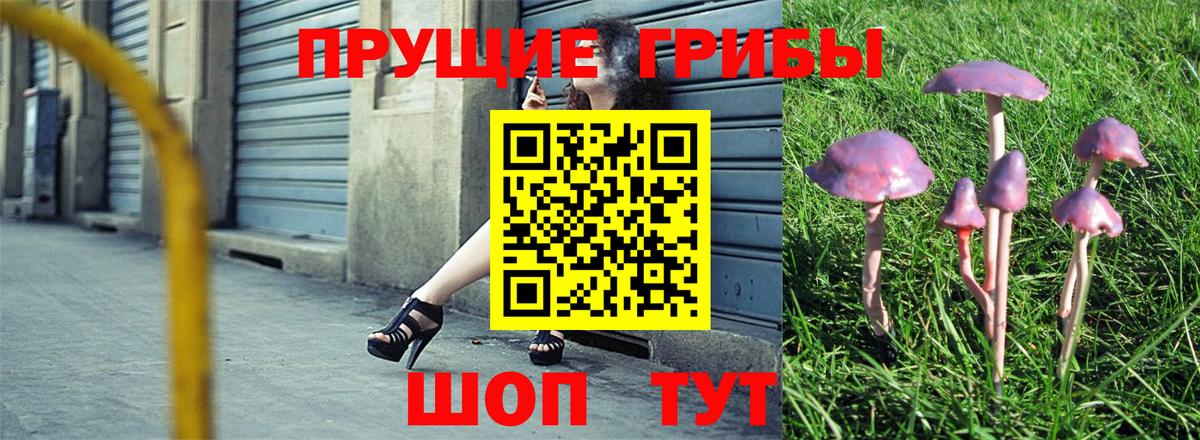 Галлюциногенные грибы MAGIC MUSHROOMS  Вход с VPN  Тула 