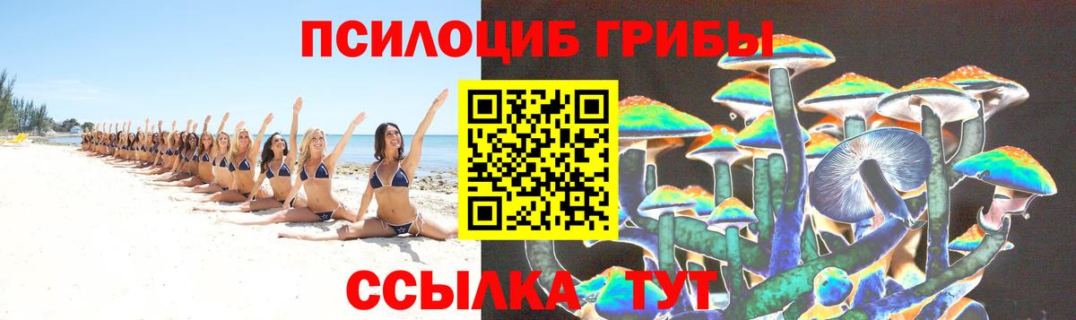 Псилоцибиновые грибы Magic Shrooms Тула